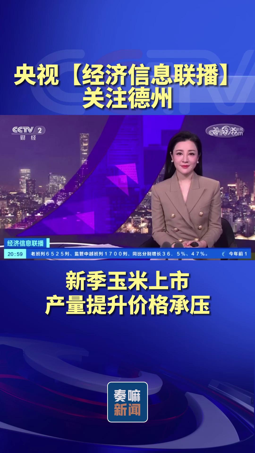 中央电视台财经频道经济信息联播主持人(央视财经经济新闻联播主持人)